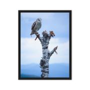 Athena 18×24 Framed Canvas Print