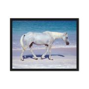 Pink Sand Prince 18×24 Framed Canvas Print