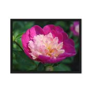 The Birth of Love 18×24 Framed Canvas Print