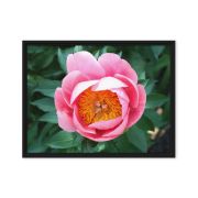 Sunrise in a Cup 18×24 Framed Canvas Print