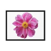 Pink Reverie 18×24 Framed Canvas Print