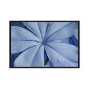 A Waking Dream 24×36 Framed Canvas Print