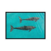 Twin Souls 24×36 Framed Canvas Print