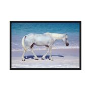 Pink Sand Prince 24×36 Framed Canvas Print