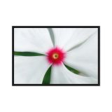 framed-canvas-in-black-24x36-front-6aa468370a8b8.jpg
