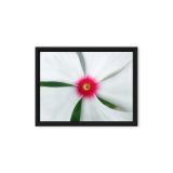 framed-canvas-in-black-9x12-front-6a9b12167e6a7.jpg