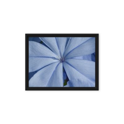 A Waking Dream 9×12 Framed Canvas Print