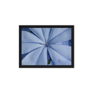 A Waking Dream 9×12 Framed Canvas Print