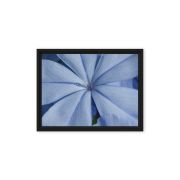 A Waking Dream 9×12 Framed Canvas Print