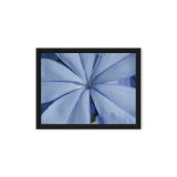framed-canvas-in-black-9x12-front-6a9b12b599a61.jpg