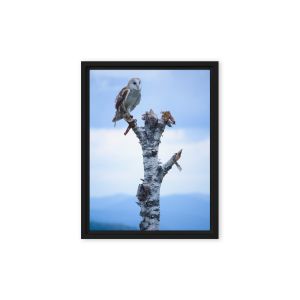 Athena 9×12 Framed Canvas Print