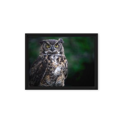 Lord of the Woods 9×12 Framed Canvas Print