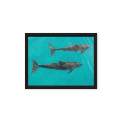 Twin Souls 9×12 Framed Canvas Print