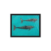 Twin Souls 9×12 Framed Canvas Print