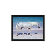 Pink Sand Prince 9×12 Framed Canvas Print