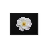 framed-canvas-in-black-9x12-front-6a9b1a5542acb.jpg
