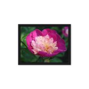 The Birth of Love 9×12 Framed Canvas Print