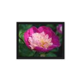 framed-canvas-in-black-9x12-front-6a9b1af240a45.jpg
