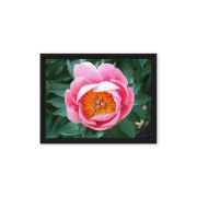 Sunrise in a Cup 9×12 Framed Canvas Print