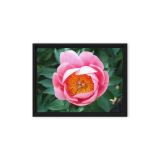 framed-canvas-in-black-9x12-front-6a9b1b8edb23e.jpg