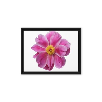 Pink Reverie 9×12 Framed Canvas Print