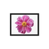 framed-canvas-in-black-9x12-front-6a9b1c2b8e63e.jpg
