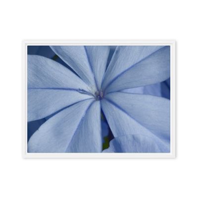 A Waking Dream 18×24 Framed Canvas Print