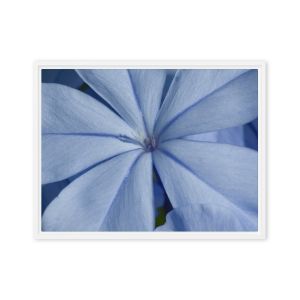 A Waking Dream 18×24 Framed Canvas Print