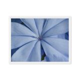 framed-canvas-in-white-18x24-front-6a9b1282f36c3.jpg