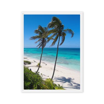 Secret Paradise 18×24 Framed Canvas Print