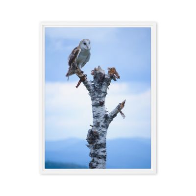 Athena 18×24 Framed Canvas Print