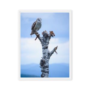 Athena 18×24 Framed Canvas Print
