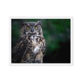 framed-canvas-in-white-18x24-front-6a9b15b32ebbc.jpg
