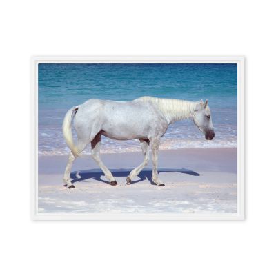 Pink Sand Prince 18×24 Framed Canvas Print