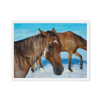 Free Spirits 18×24 Framed Canvas Print