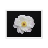 framed-canvas-in-white-18x24-front-6a9b1a22035c4.jpg