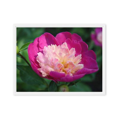 The Birth of Love 18×24 Framed Canvas Print
