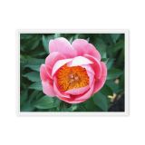 framed-canvas-in-white-18x24-front-6a9b1b5b1e1e6.jpg