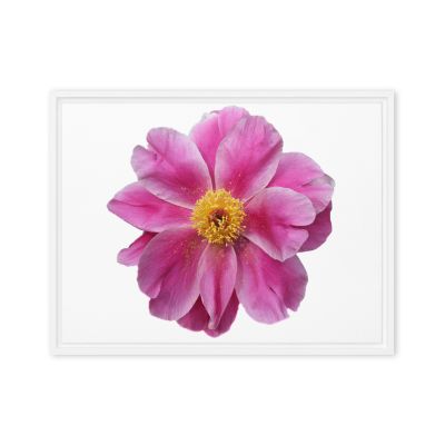 Pink Reverie 18×24 Framed Canvas Print