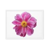 framed-canvas-in-white-18x24-front-6a9b1bf7e10a9.jpg