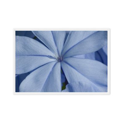 A Waking Dream 24×36 Framed Canvas Print