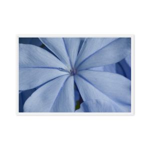 A Waking Dream 24×36 Framed Canvas Print