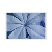 A Waking Dream 24×36 Framed Canvas Print