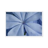 framed-canvas-in-white-24x36-front-6a9b124dd66c1.jpg