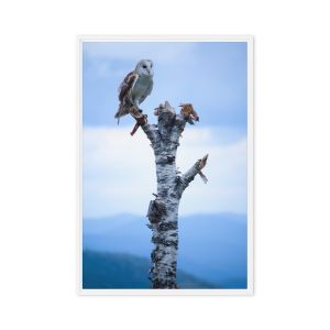 Athena 24×36 Framed Canvas Print