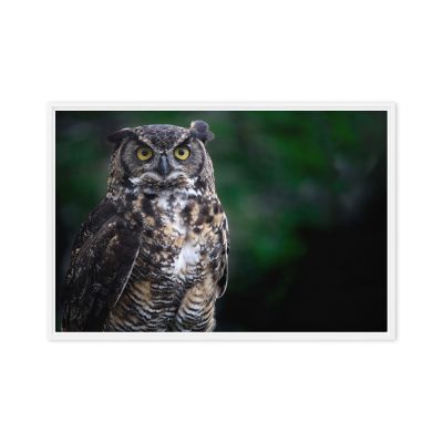 Lord of the Woods 24×36 Framed Canvas Print