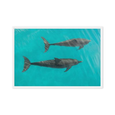 Twin Souls 24×36 Framed Canvas Print