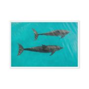 Twin Souls 24×36 Framed Canvas Print