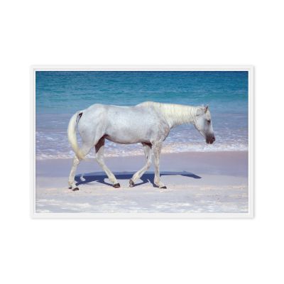 Pink Sand Prince 24×36 Framed Canvas Print