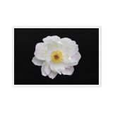 framed-canvas-in-white-24x36-front-6a9b19ef05b7d.jpg
